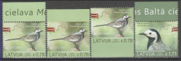 Latvia 2019 (Mi 1072A.72Do,75Du And 1073A) - White Wagtail (Motacilla Alba) - Verzamelingen, Voorwerpen & Reeksen