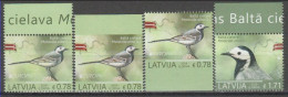 Latvia 2019 (Mi 1072A.72Do,75Du And 1073A) - White Wagtail (Motacilla Alba) - Konvolute & Serien