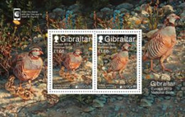 Gibraltar 2019 (Bl 138) - Barbary Partridge (Alectoris Barbara) - Konvolute & Serien