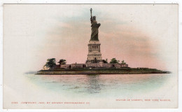 NEW YORK HARBOR - Statue Of Liberty - Detroit Photographic 5465 - Private Mailing Card - Other Monuments & Buildings