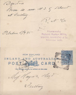 NEW ZEALAND 1895 POSTCARD SENT FROM PALWERSTON - Brieven En Documenten