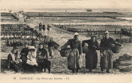 Cancale * Le Parc Aux Huîtres * Ostréiculture * Coiffe - Cancale