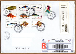 Lettre Recommandée Envoyée Pour La Tunisie (2 Images) - Covers & Documents