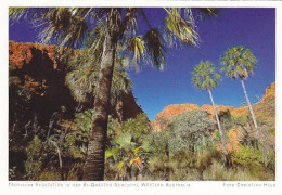 AK 186979 AUSTRALIA - Tropische Vegetation In Der El-Questro-Schlucht - Andere & Zonder Classificatie