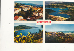 83 // MONTAUROUX   MULTIVUES  / CPSM Grand Format / EDIT PRESSE DIFFUSION - Montauroux