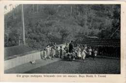 SÃO TOME E PRINCIPE - Um Grupo De Muleques, Brincado Com Um Macaco - Roça Bindá, S. THOMÉ - Santo Tomé Y Príncipe