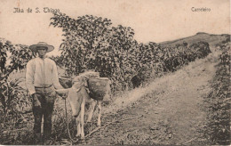 CABO VERDE - SÃO TIAGO - Carreteiro - Cap Verde