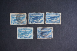 (T7) Newfoundland Canada Lot Of 5 Harp Seal 5c - Used - 1865-1902