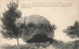 Torfou * La Pierre Tournisse * Mégalithe Menhir - Andere & Zonder Classificatie