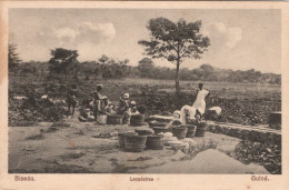 GUINÉ - BISSAU - Lavadeiras - Guinea Bissau