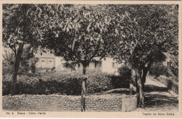 CABO VERDE - BRAVA - Trecho De Nova Sintra - Cap Vert