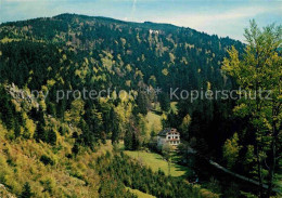 42852483 Buehlertal Haus Gertelbach Buehlertal - Bühlertal