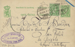 Luxembourg - Luxemburg - Carte Postale  1906  -  Cachet   -  Luxembourg - Postwaardestukken
