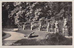 AK 187095 GERMANY - Bad Lausick - Rosengarten - Bad Lausick