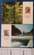 2 MAXIMUM CARD SVIZZERA 1986 EUROPA (PG273 - Maximumkaarten