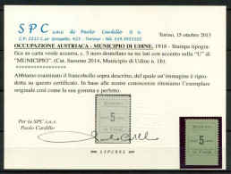 Autriche 1918 Sass. Z2 Neuf * MH 100% Certificat Cardillo - Vénétie Julienne