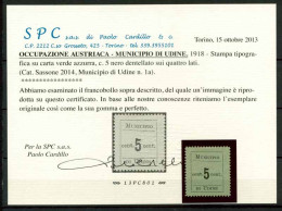 Autriche 1918 Sass. Z1 Neuf * MH 100% Certificat Cardillo - Vénétie Julienne