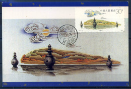 La Chine 1989 Maximum Carte 100% Oblitéré, Lune - Cartoline Maximum