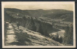 Allemagne 1930 Carte Postale 100% Utilisé Avec La Nature Du Timbre, Forêt-noire, - Hochschwarzwald