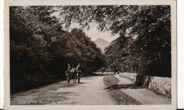 WICKLOW  GLEN OF THE DOWNS      2 SCANS - Autres & Non Classés