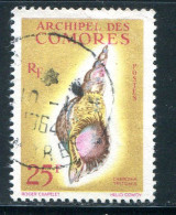 COMORES- Y&T N°24- Oblitéré (coquillage) - Used Stamps