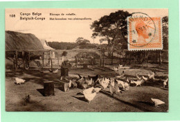 Belgium Congo 1924 Old Illustrated Postcard Nice Used Banbundu To Holland - Covers & Documents