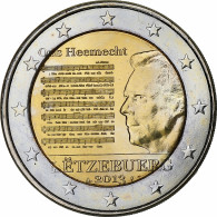 Luxembourg, 2 Euro, Hymne National, 2013, SPL, Bimétallique - Luxemburg