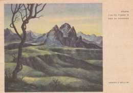 CARTOLINA NON VIAGGIATA COLONIE ITALIANE ETIOPIA L'ALTO TIGRI-ANNI 30 (TX278 - Ethiopie