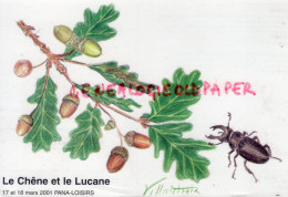 87- PANAZOL- LE CHENE ET LE LUCANE- CERF VOLANT LUCANUS- EXPOSITION CARTES POSTALES-2001- ILLUSTRATEUR VILLAUTREIX - Panazol