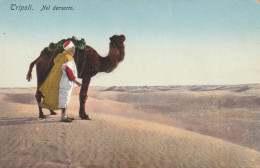 CARTOLINA NON VIAGGIATA CIRCA 1930 TRIPOLI -DESERTO (TY31 - Libia