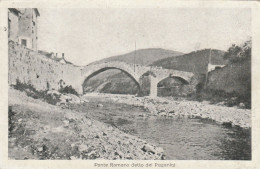 CARTOLINA VIAGGIATA PRIMI 900 PONTE ROMANO DI PAGANINI VOLTAGGIO (AL) (TY586 - Bridges