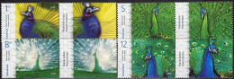 AVE173 - Romania 2019 (MNH) (Mi Mi  7353, 55, 57 E 59) - Peafowls - Konvolute & Serien