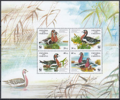 AVE092 - Ukraine 1998 (MNH) (Mi 292-295) - Red-breasted Goose (Branta Ruficollis) - Collezioni & Lotti