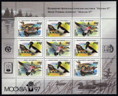 AVE061 - Russia 1994 (MNH) (MI  389-391KBII) - Mareca Penelope...Sibirionetta Formosa.jpg - Konvolute & Serien