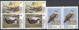 AVE052 - Spain 1999  (MNH) (Mi 3449-3451 - Pandion Haliaetus, Puffinus Mauretanicus - Collezioni & Lotti