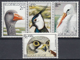 AVE023 - Belgiu1972 (MNH) (Mi 1706-1709) - Anser Anser...falco Peregrinus.jpg - Collezioni & Lotti