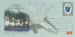 728  Pelican, Nymphéa: PAP Roumanie, 2008 - Pelican, Water Lily, Danube Delta Postal Stationery Cover. Nénufar  - Pélicans