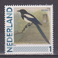 Netherlands Nederland Pays Bas Holanda Niederlande MNH ; Vogel Oiseau Ave Bird Ekster Magpie Urraca Pie - Coucous, Touracos