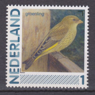 Nederland Netherlands Pays Bas Holanda MNH Groenling Greenfinch Verdier Verderon Comun Vogel Bird Ave Oiseau - Passeri