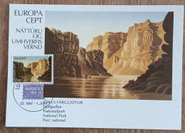 Islande - CM 1986 - YT N°602 - EUROPA / Protection De La Nature Et De L'environnement / Parc National De Jökulsargljufur - Tarjetas – Máxima