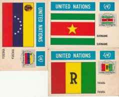 3 MAXIMUM CARDS 1980 NAZIONI UNITE NEW YORK  (VX807 - Cartoline Maximum