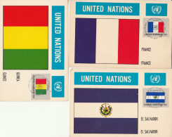 3 MAXIMUM CARDS 1980 NAZIONI UNITE NEW YORK  (VX805 - Cartes-maximum