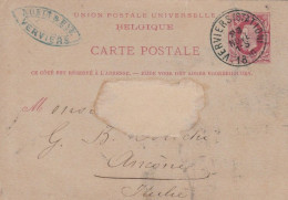 INTERO POSTALE 1901 BELGIO (VX191 - Autres & Non Classés