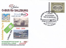 AUSTRIA Cover 136 - Lettres & Documents