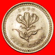 * SOUTH AFRICA (1975-1977): RHODESIA  5 CENTS 1975 LILY ZIMBABWE BIRD UNC MINT LUSTRE! · LOW START ·  NO RESERVE! - Rhodésie