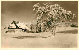 42830193 Furtwangen Hoehengasthaus Martinsheim Furtwangen - Furtwangen