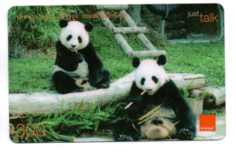 Panda Ours Bear Carte Prépayée Thaïlande Card Card (F 404) - Thaïland