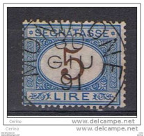 REGNO:  1870/74  TASSE  -  £. 5  AZZURRO  E  BRUNO  US. -  SASS. 13 - Impuestos