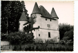 CPSM Dentelée 10.5 X 15 Isère SAINT CHEF (5) Château Du Marchil   "photographie Véritable" - Saint-Chef