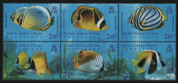 BIOT 2006 - Mi-Nr. 412-417 ** - MNH - Aus KLB - Fische / Fish - Territoire Britannique De L'Océan Indien